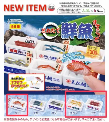 갓 잡은 생선 마스코트 도미, 가리비, 오징어