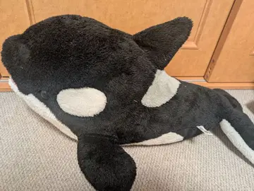 카모가와 씨월드*범고래 봉제 인형