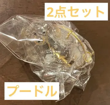 푸들 2세트 우리 아이 털뭉치