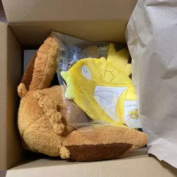 포켓몬 피카피카 박스 2026 금 코이킹 포함