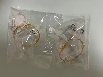 강아지 케다마다마 블랙 시바 삼각형 늘어진 귀