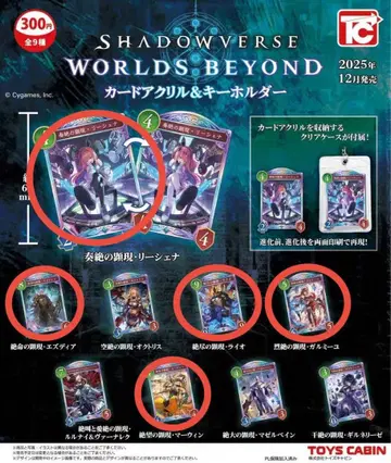 섀도우버스 Shadowverse 카드 아크릴 & 키링 모음