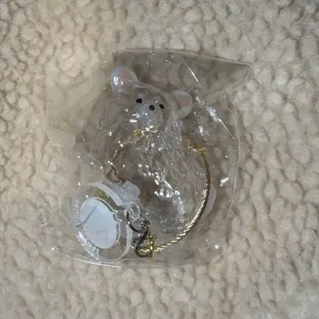 우리 집 반려동물 털뭉치 치와와 (화이트) 페테모 한정판