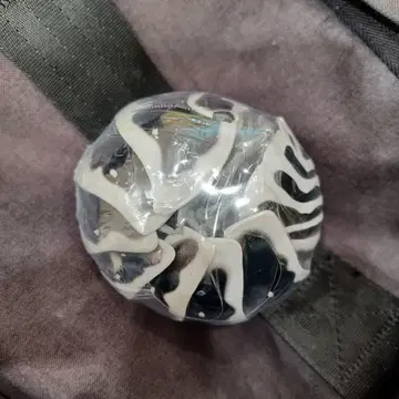 생물대도감 어드밴스 공벌레 제브라 공벌레 가챠 가샤폰 한정판