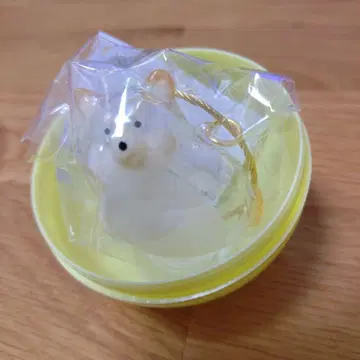 미개봉 새상품 우리 집 강아지 털뭉치 시바견