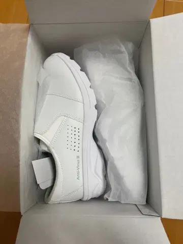 안티 바이러스 II 신발 화이트 240 3E