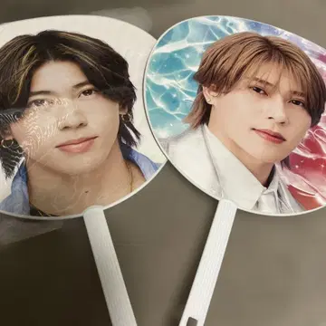 스에자와 세이야 공식 부채 Debut TOUR D.N.A