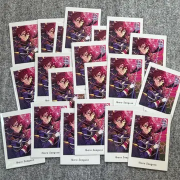 앙스타 파샤츠 vol.6 action 이바라