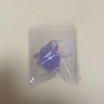 포켓몬 겐가 메지루시 액세서리