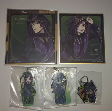 트위스테 말레우스 릴리아 색지 아크릴 키링