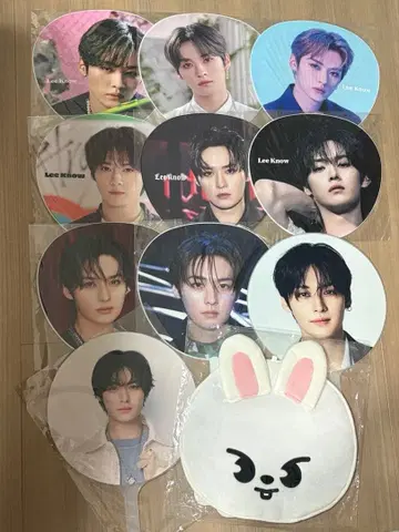 리노 부채 10개 세트 부채 커버 리비트 묶음 판매 스키즈