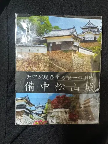 비추마츠야마 성의 고양이 성주 산주로