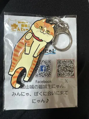 비추마츠야마 성의 고양이 성주 산주로