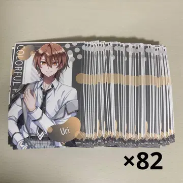 컬러풀피치 우리 파라피치 브로마이드