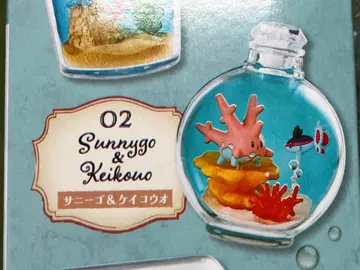 AQUA BOTTLE Collection2 써니고 형광오