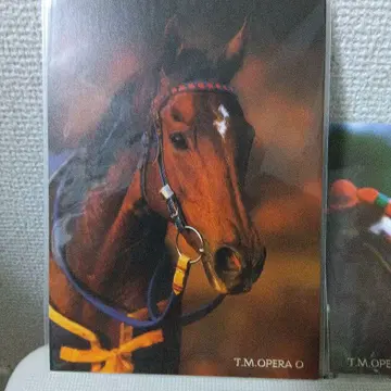 T.M. 오페라오 사진 엽서 세트