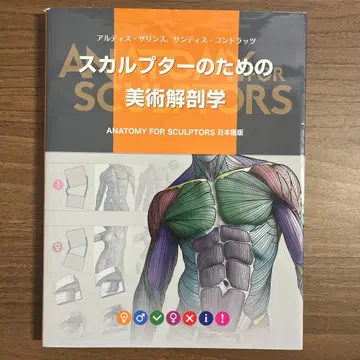 스컬프터를 위한 미술 해부학