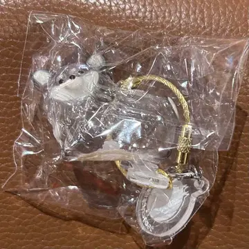 우리 아이 털뭉치 치와와