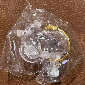 우리 집 털뭉치 강아지 치와와 화이트 한정판 모듬