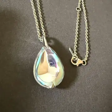 Baccarat 크리스탈 유리 푸시데릭 목걸이