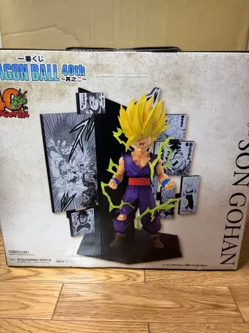 제일복권 드래곤볼 40th 그 두 번째 C상 손오반