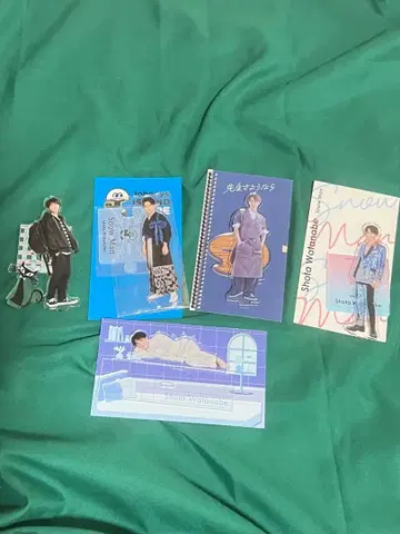 SnowMan 와타나베 쇼타 아크릴 스탠드 5점 세트