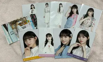 카와사키 벚꽃 브로마이드 묶음 판매