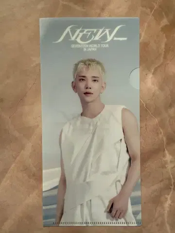 SEVENTEEN NEW 라이브 뷰잉 티켓 홀더 조슈아