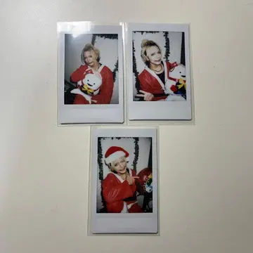 달콤한 폭력 요시상 폴라로이드