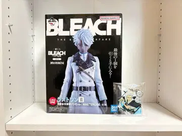 BLEACH 토시로 피규어
