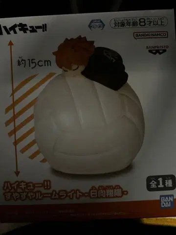 하이큐!! 스야스야 룸 라이트 히나타 쇼요