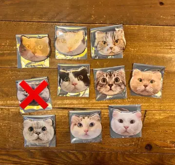 mocha 고양이형 캔뱃지 낱개 판매 가능