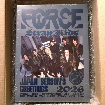 Stray Kids 시그 FORCE 미개봉