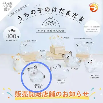 우리 아이 털뭉치 페테모 한정판 모듬 블랙 시바