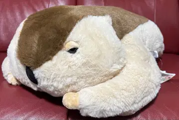 Dr.Marmot 마모치오모푸쿠의 페타안 & 마모 스모 봉제 인형 마모치