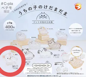 우리 집 강아지 털뭉치 페테모 한정판 화이트 치와와