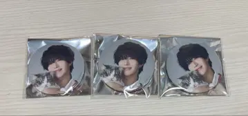 사토미 군 캔뱃지 실사