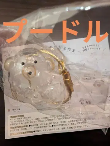 우리 아이 털뭉치 푸들 페테모 한정판