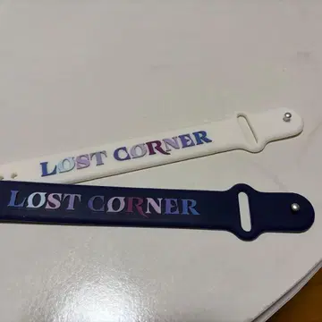 요네즈 켄시 밴드