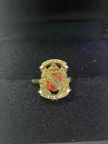 학교 휘장 반지 쌍엽학원 기념품 실버 프리 사이즈 5.7g