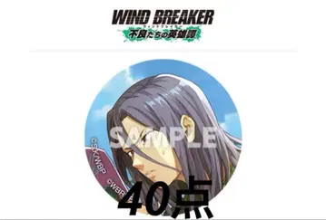 WIND BREAKER 윈브레 윈히로 스기시타 쿄타로 캔뱃지 스기시타