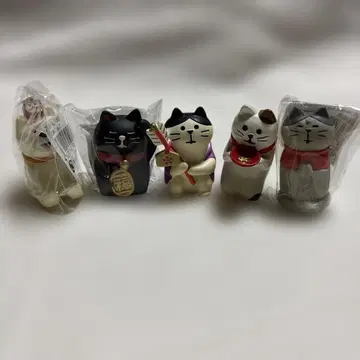 졸고 있는 마네키네코, 느긋한 강아지 외 세트