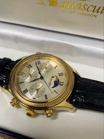 아쿠아 스큐텀 150주년 한정판 그랜드 컴플리케이션 손목시계