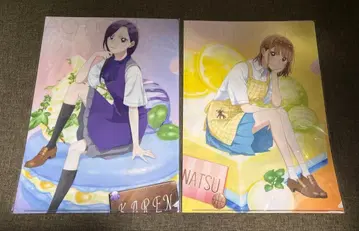 푸른상자 여름색 SugarDays 클리어 파일 세트 2점