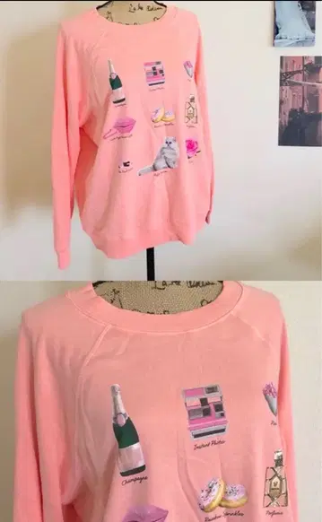 택 포함 새상품 와일드폭스 WILDFOX 트레이닝복 맨투맨 LA