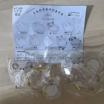 우리 아이 털뭉치 강아지 정품 치와와