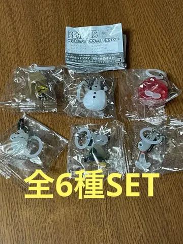 PEANUTS 메지루시 액세서리 FUNNY ver. 전 6종 SET