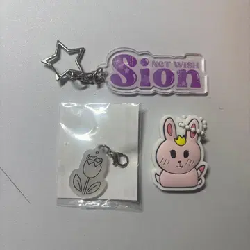 NCT WISH 시온 SION login 랜토이 세트