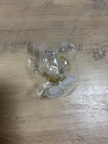 케다마다마 치와와 (화이트)