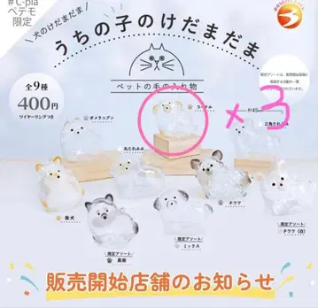 우리 아이 털뭉치 강아지 토이 푸들 3개 세트